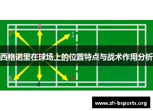 西格诺里在球场上的位置特点与战术作用分析